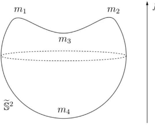 Figure 4.1: A representation of the mentioned “heart shaped” sphere e S 2 . The points m 1 and m 2 are local maxima and a linear combination of them is homologically visible, i.e.