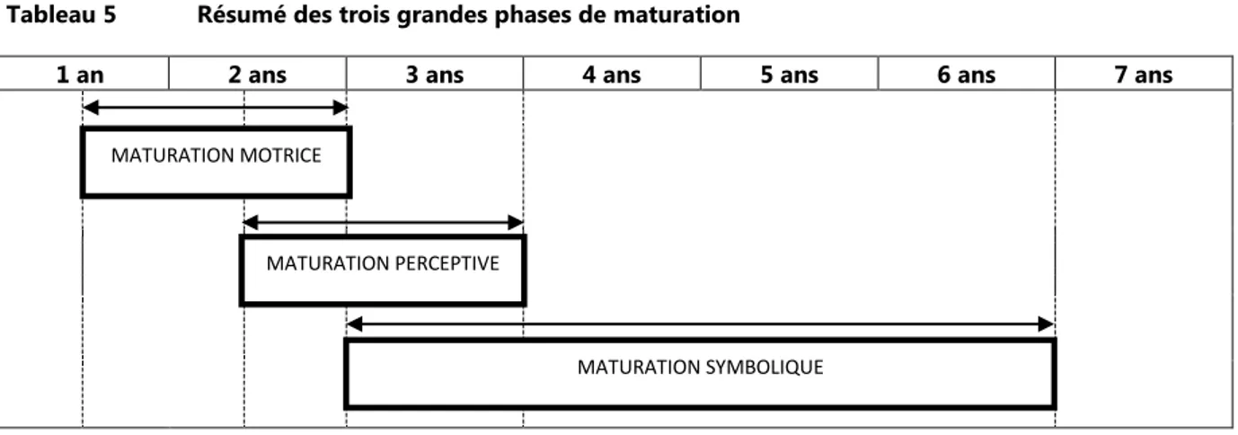 Tableau 5   Résumé des trois grandes phases de maturation 
