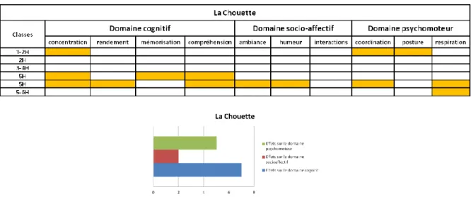 Tableau 10 : Les domaines travaillés par l’exercice La Chouette 