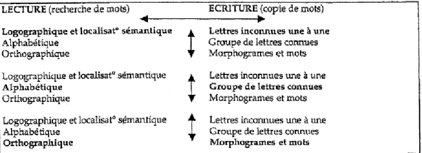 Figure 5 Évolution de la langue écrite selon Rieben et Saada-Robert (1997) (Auvergne et al., 2005,  p