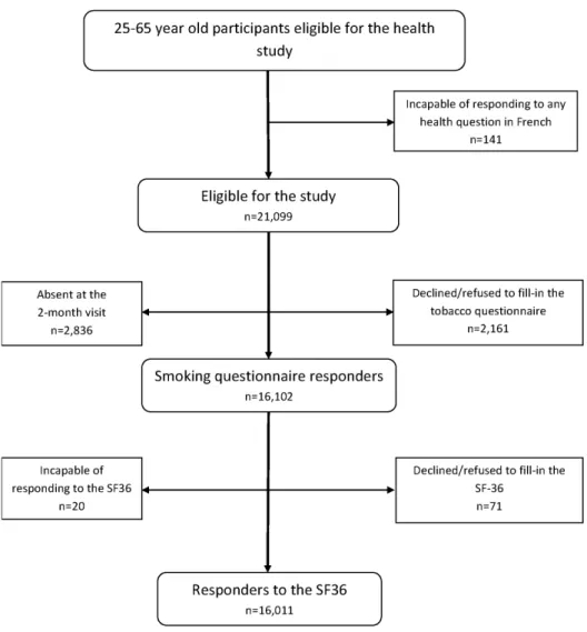 Figure 1. Flowchart of the study design.