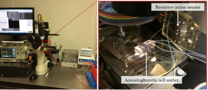 FIG. 8. Experimental setup.