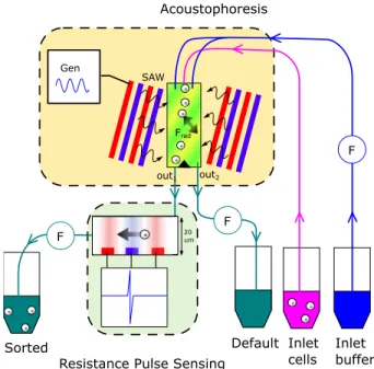 FIG. 1. Experimental setup. The experiment combines an acoustostophoresis chip (top-center) and a RPS chip  (bottom-center)