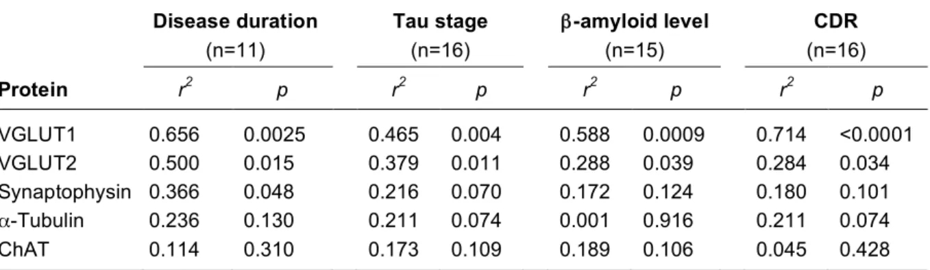Table 3. Influence of disease duration, tau stage,  β -amyloid level, and dementia on protein levels in  samples of the prefrontal cortex of AD patients 