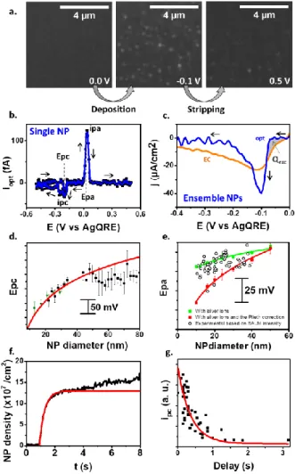 Figure  2. Monitoring the CV electrodeposition/stripping of Ag NPs (scan rate,  v=0.1V/s)