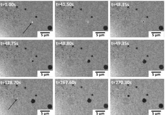 Fig. 4 presents a sequence of BALM images monitoring the for- for-mation of two bubbles (indicated by arrows) at the Au surface.