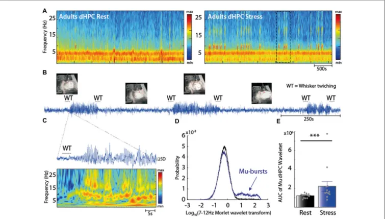 FIGURE 2 | (A) Spectrogram of dHPC at rest (left panel) and under stress (right panel)