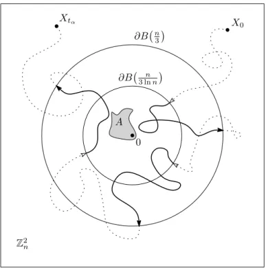 Figure 3: Excursions (depicted as the solid pieces of the trajectory) of the SRW on the torus Z 2 n