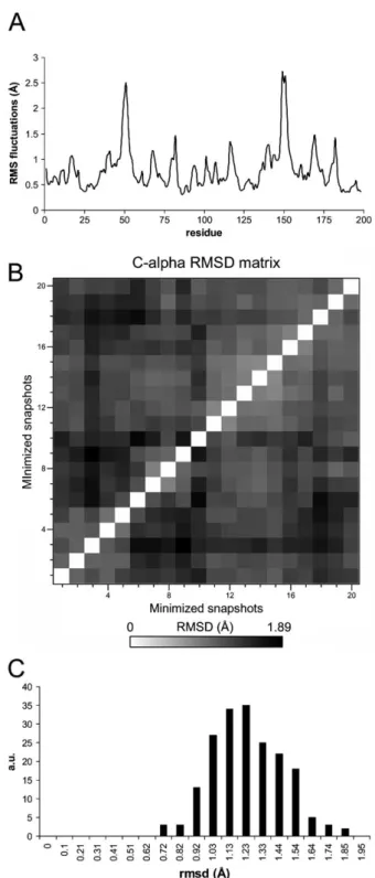 Fig. 4 The structural variability of sampled structures used in the CM calculation. (A) C a fluctuations calculated from the 20  energy-minimized snapshots