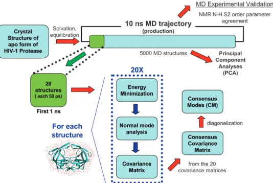 Fig. 10 shows a flowchart describing the CM approach from multiple minima NM calculations