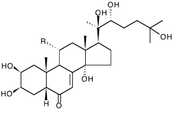 Figure 1. Structure of the two major ecdysteroids from Ajuga turkestanica. R = H : 20- 20-hydroxyecdysone; R = OH : turkesterone