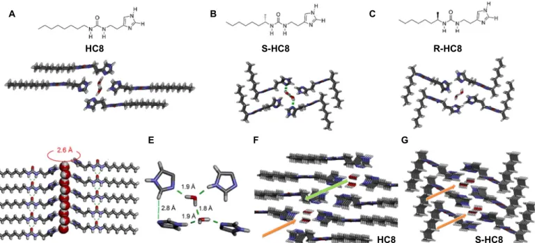 Fig. 1. I-quartet artificial water channels and their chiral isomers packing. Top views in stick representation (N, blue; C, gray; O, red; H, white) of the water-confined I-quartet x-ray single-crystal structures of (A) octylureido-ethylimidazole HC8, (B) 