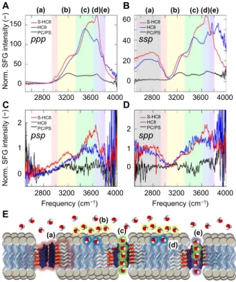 Fig. 3. SFG vibrational spectroscopy. SFG spectra of 4:1 = PC/PS SLB (reference), HC8, and S-HC8 I-quartets in 4:1 = PC/PS SLB determined for pure achiral (A) ppp and (B) ssp, as well as pure chiral (C) psp and (D) spp polarization combinations