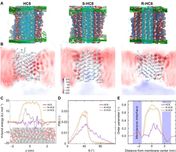 Fig. 4. Molecular dynamics. MD simulations of the I-quartets feature well-structured central water wires through these artificial channels depicted in (A)