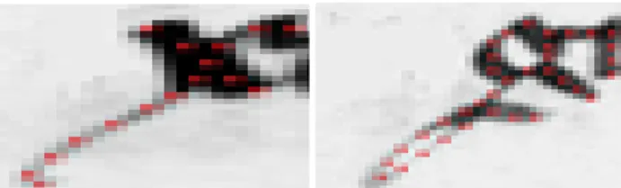 Figure 3. Centerline extraction example (crossing and ink  degradations) 