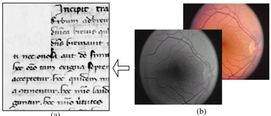 Figure 3.  (a) Image de manuscrit ancien latin du Moyen Âge (Cursive Gothique de  style Formata), (b)  Image d'une rétine issue de l’imagerie médicale par rayon X 