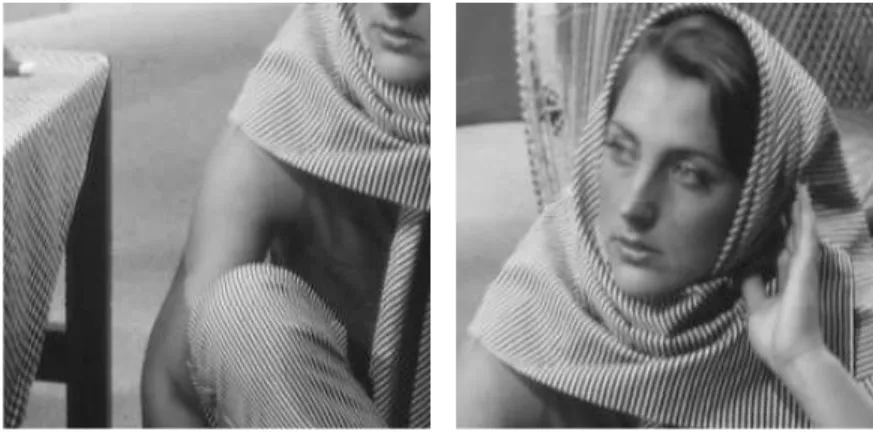 Figure 1. Original images used for image restoration. The left image is used for denoising, and the right one is used for deblurring and inpainting