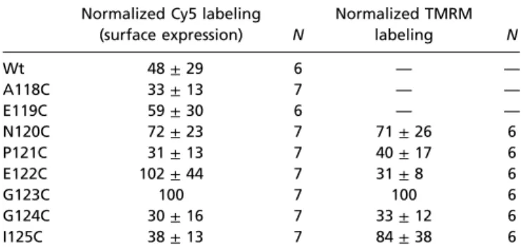 Table S1. Cy5 and TMRM labeling of cysteine-substituted His- His-P2X1 mutants