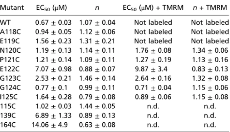 Table S2. EC 50 values for ATP and Hill coefﬁcients (n) at WT P2X1 and cysteine-substituted P2X1 mutants without and after labeling by TMRM (n = 4–11)