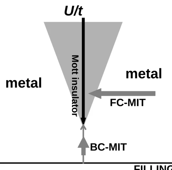 FIG. 13 Metal-insulator transition in correlated transition metal. From Imada et al. (1998).