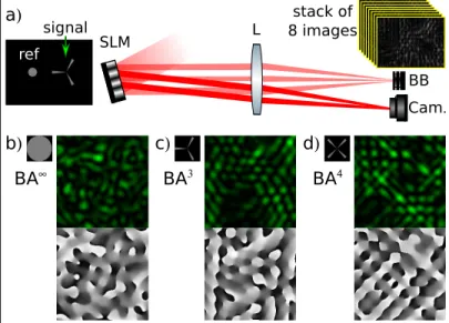 Fig. 1: Experimental setup (a) used to measure the intensity and the phase of speckle patterns corresponding to the  differ-ent binary amplitude masks