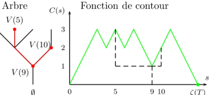 Figure 1 – La distance entre V (5) et V (10) peut s’exprimer uniquement à l’aide de distances à la racine : d (V (5), V (10)) = d (V (5), ∅ ) + d (V (10), ∅ ) − 2d (V (9), ∅ )