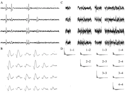 Figure 6: Procedure used to obtain the second order statistical properties of the recording noise illustrated with a tetrode recording from the locust antennal lobe