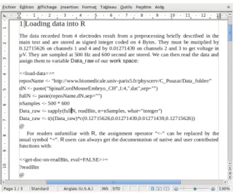Figure 3: The beginning of the odfWeave covering the first two code chunks shown on Listing 1.