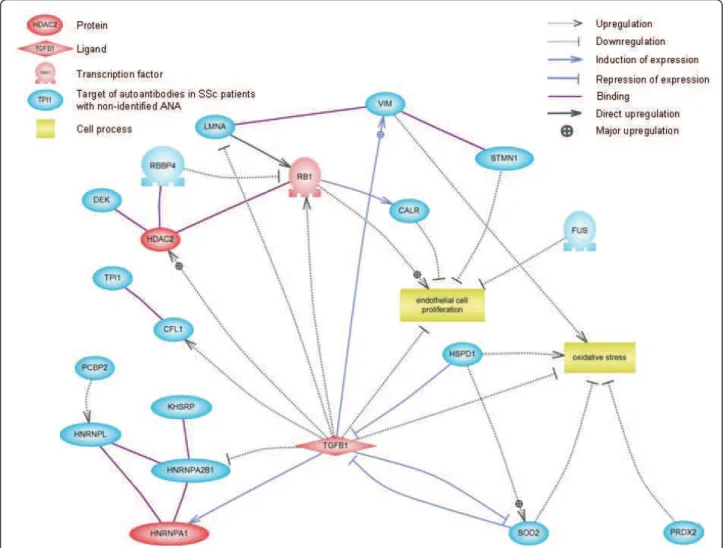 Figure 4 Signalling network of proteins identified as major targets of autoantibodies in patients with unidentified ANA