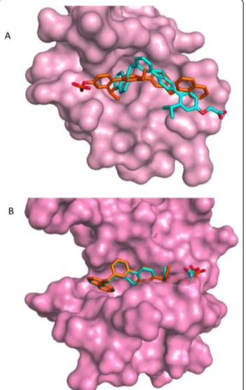 Figure 7 Side chains of the protein residues moving after the refinement with AMMOS (in pink sticks)
