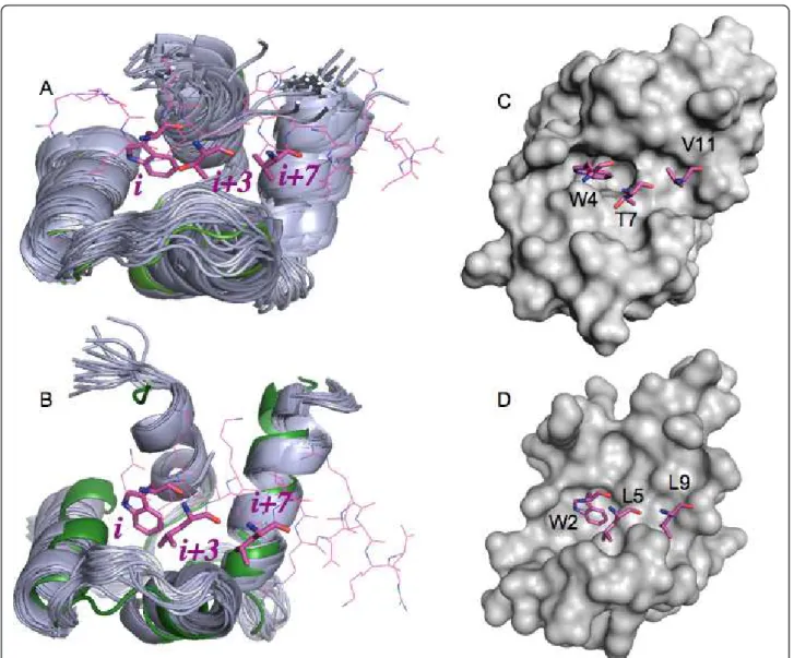 Figure 3 Superposition of the C-terminal domains of CaM and HsCen2 used for docking. (A) 31 NMR (code 2K0F; in grey cartoon) and one X-ray (code 1CLL; in green cartoon) structures of CaM