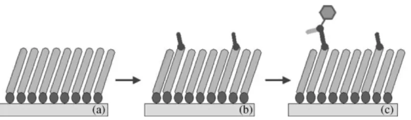 Fig. 2. Schematic of the three steps necessary for the nanografting of isolated molecules