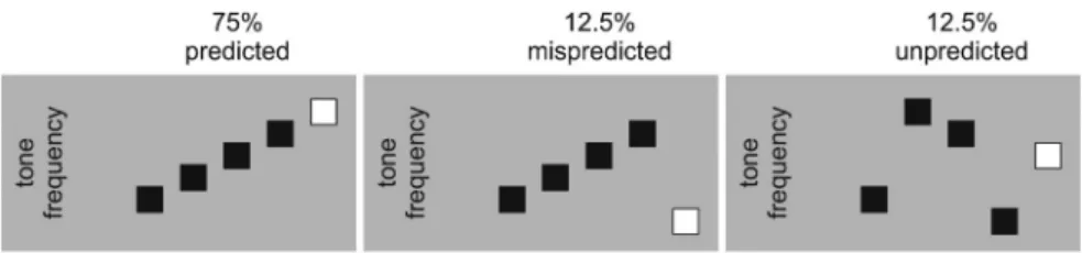 Figure 2. Schematic illustration of the design. In the experiment, 75% of the trials have a predicted fifth tone, 12.5% of the trials have a mispredicted fifth tone, and the last 12.5% of the trials have an unpredicted fifth tone.