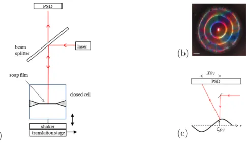 Figure 1. (a) Experimental setup (see text); (b) image of a vibrating soap film (obtained by illuminating the film with a parallel white light and using a CCD camera placed above the film): the bright rings correspond to the antinodes of the standing vibra