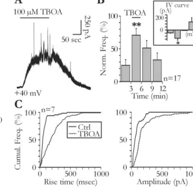 Figure 5. Glial glutamate release contributes to ambient glutamate concentration. A, Tonic and slow transient currents are unmasked by bath application of TBOA (100 ␮ M )