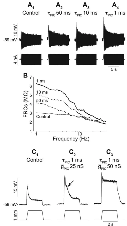 Figure 9. Input amplification in nonresonant motoneurons. A 1 –A 4 , Bottom, ZAP. Top, Voltage (average of 3 records)