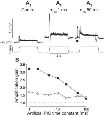 Figure 8. Differential amplification of dynamic and static components of Ia input elicited by a ramp-and-hold stretch