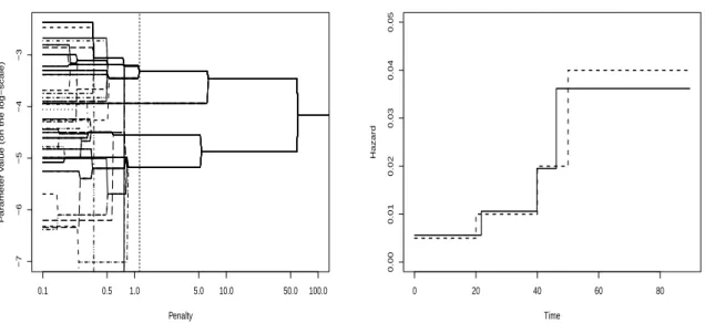 Figure 3: Regularization path for the adaptive-ridge on the left panel. The estimated set of cuts using the BIC is shown as a vertical dotted line