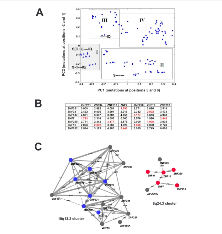 Figure 6 Evaluation of the conservation of the C2H2 ZNF DNA binding domains. (A) Principal component analysis of ZNF domains for conser- conser-vation based on the 8-amino acid region from -2 to 6 with respect to the start of the α-helix of each finger (se