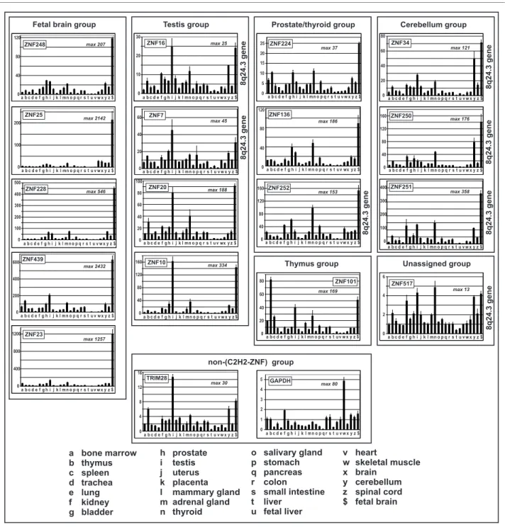 Figure 7 Human tissue expression profiles of the 8q24.3 ZNF genes. RNA expression profiles (labeled by gene names) of the seven 8q24.3 zinc  finger genes compared to those of ten other C 2 H 2  zinc finger genes, the KRAB domain-interacting partner TRIM28 