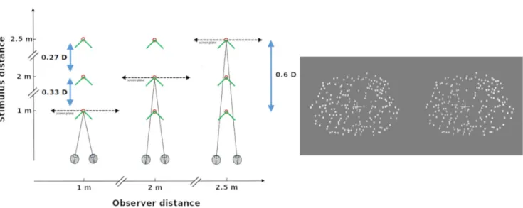 FIGURE 1. Left: Top view of variations applied to participant-screen distance and participant-object distance