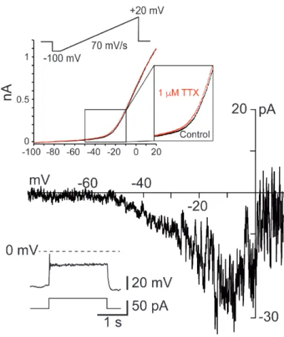 Figure 9-Figure supplement 1. 