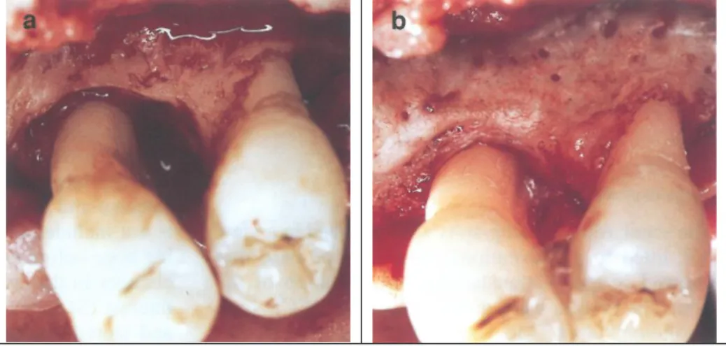 Fig. 2.Clinical application. 