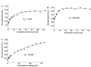 Fig  3.  Electrochemical  competitive  binding  curves  obtained  in  the  presence  of  FcPRM 4 (29  µM for A  and  B,  and  27  µM for C), 16S23  RNA (0.7  or  1.3  eq)  and  increasing  amount  of  the  competing  aminoglycoside