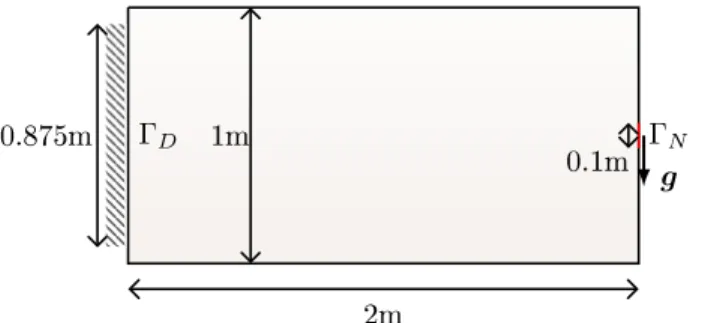Figure 3: 2D Cantilever boundary conditions