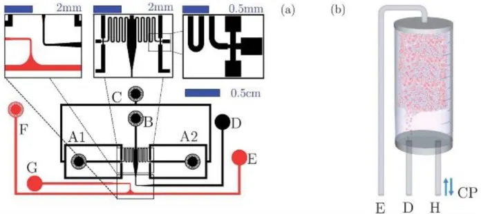 Figure 2: Sketch of the microfluidic chip for emulsification of mixed emulsion. Droplets containing 