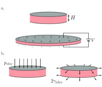 Figure 1.6. a.) An electro-active polymer set-up is made of two compliant electrodes separated by a dielectric polymer