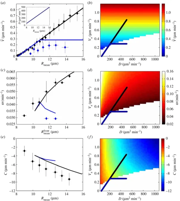 Figure 5. Predictions of the phenomenological model. Realistic parameter values (strain–polarity coupling term m = 25, polarization delay time τ p = 15 min, viscoelastic time τ = 180 min) are manually chosen to obtain a good agreement with the data (see te