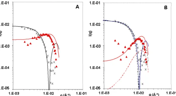 Figure 8. Contrast variation for dispersions of AEP particles in BSA solutions: (A) no BSA,  (B) BSA concentration 2000µg/mL