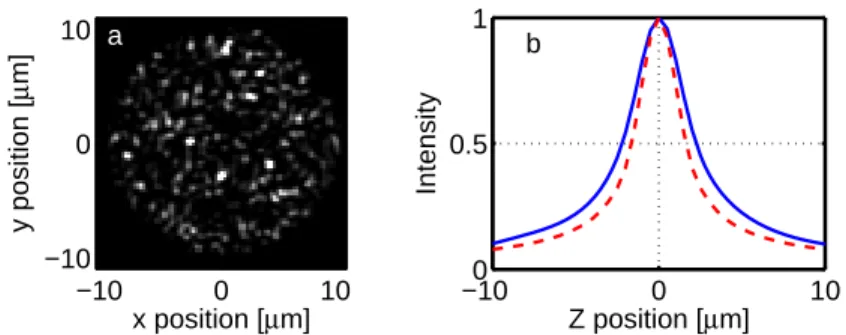 Fig. 6. 2PEF intensity pattern (a) and calculated depth response (b) for an illumination pattern with random phase